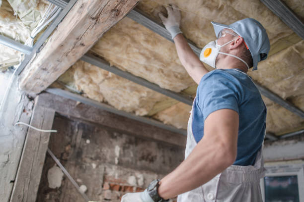 Types of Insulation We Offer in Cameron, MO