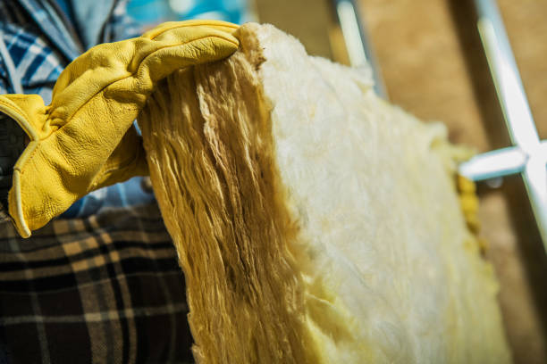 Best Insulation Maintenance and Repair in Cameron, MO