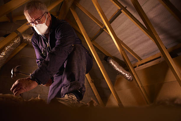Best Cellulose Insulation in Cameron, MO